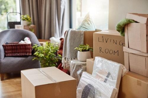 moving boxes in living room